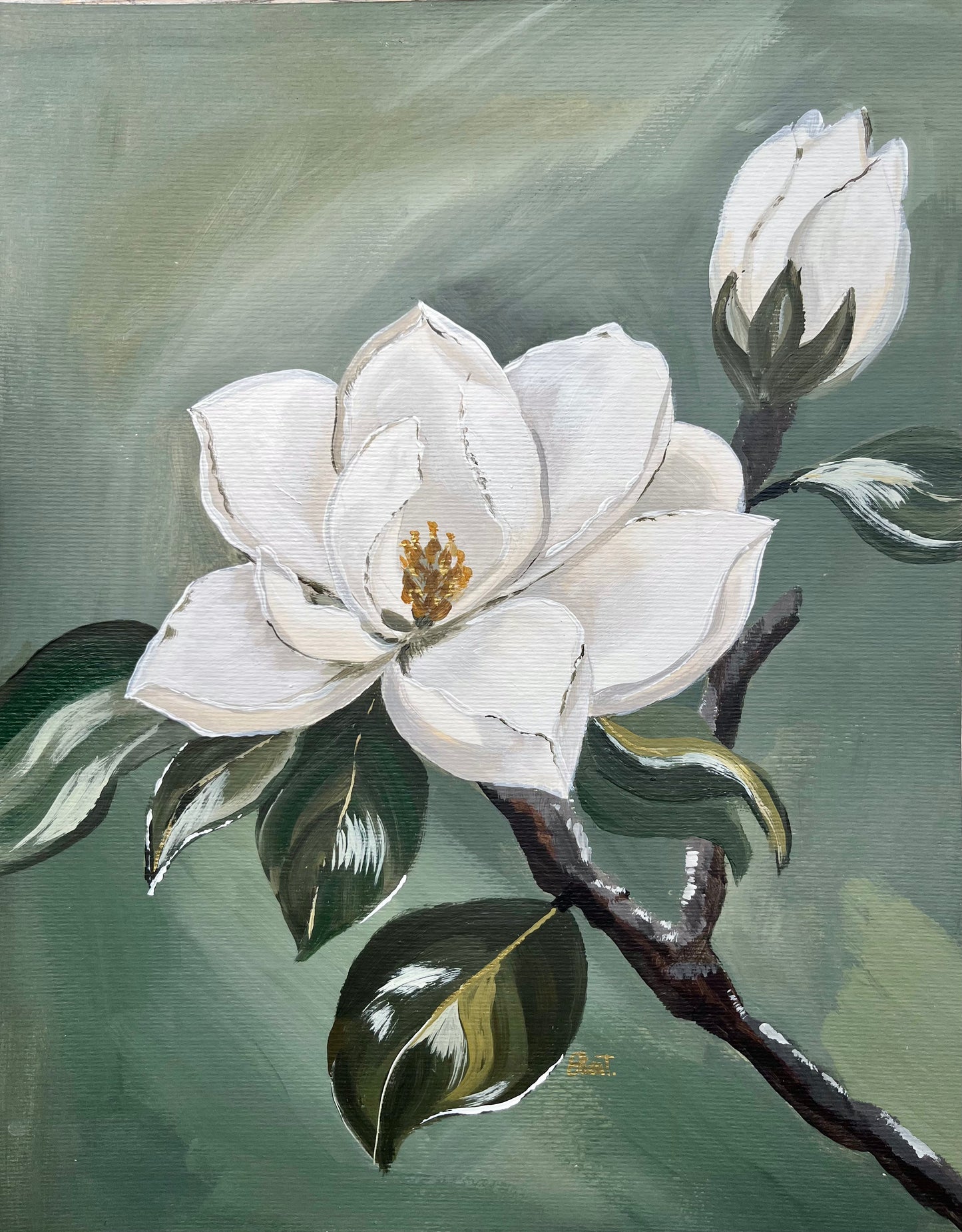 Southern Magnolia 11x14"