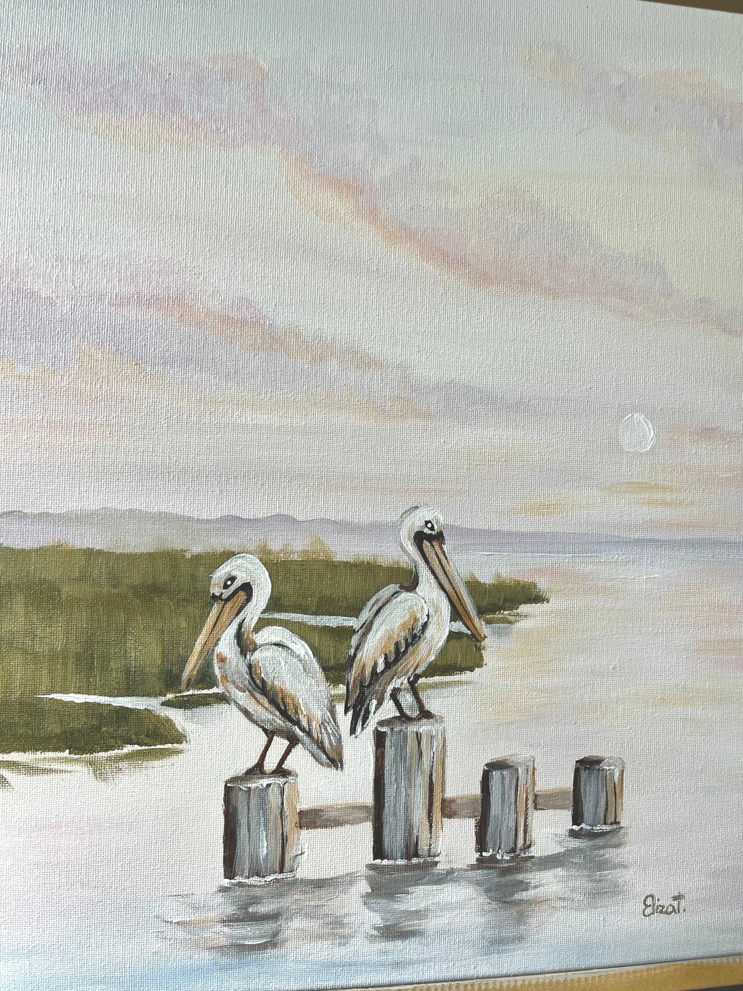 Louisiana Marsh Pelicans
